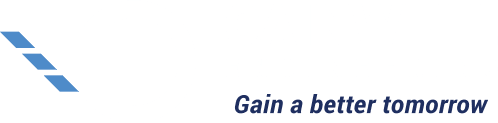 Gainwell Engineering